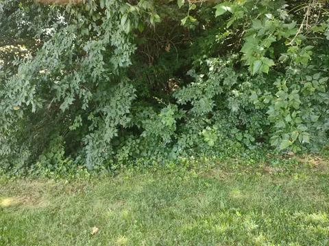 0 Woodhaven Rd, Roanoke, VA 24019