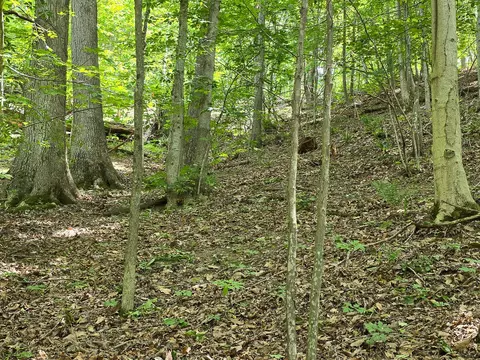 0 Ravens Ridge Rd, Pearisburg, VA 24134