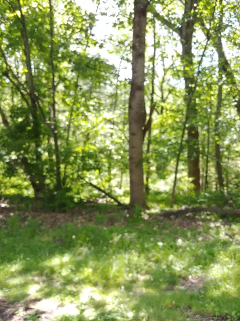 7248 Carriage Hills Dr, Roanoke, VA 24018