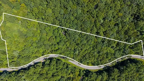 lot6 Phadettia Rd, Willis, VA 24380