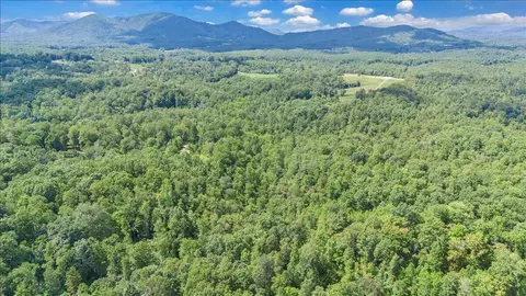 Other - 2011 Deepwoods Rd, Hardy, VA 24101 photo 38 of 41