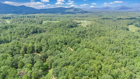 Other - 2011 Deepwoods Rd, Hardy, VA 24101 photo 39 of 41