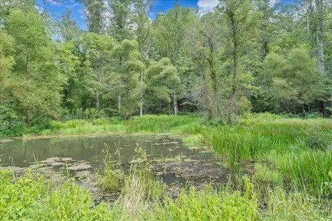 Other - 2011 Deepwoods Rd, Hardy, VA 24101 photo 24 of 41