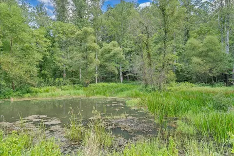Other - 2011 Deepwoods Rd, Hardy, VA 24101 photo 23 of 41