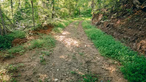 0 Johnson School Rd, Thaxton, VA 24174 photo 14