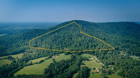 0 Johnson School Rd, Thaxton, VA 24174 photo 17