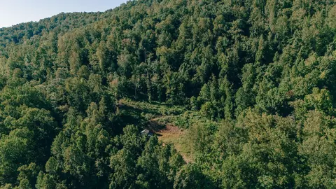 0 Johnson School Rd, Thaxton, VA 24174 photo 3