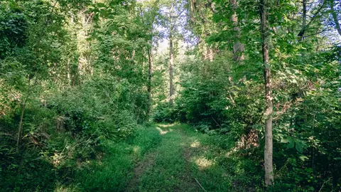0 Johnson School Rd, Thaxton, VA 24174 photo 12