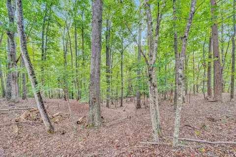 146 Pineview Dr, Hardy, VA 24101 photo 37