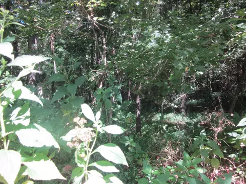 103 River Ridge Dr, Sandy Level, VA 24161 photo 32