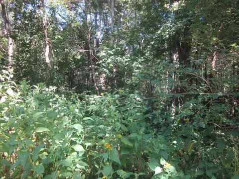 103 River Ridge Dr, Sandy Level, VA 24161 photo 33