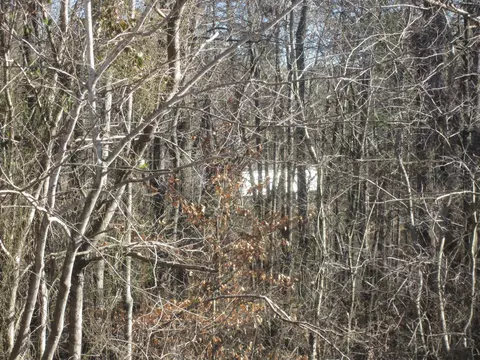 103 River Ridge Dr, Sandy Level, VA 24161 photo 6