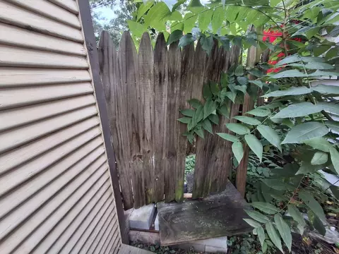 Exterior - 1503 Wise Ave SE, Roanoke, VA 24013 photo 16 of 23