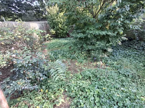 Exterior - 1503 Wise Ave SE, Roanoke, VA 24013 photo 22 of 23