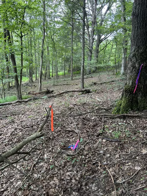 1506 Westwood Dr, Covington, VA 24426