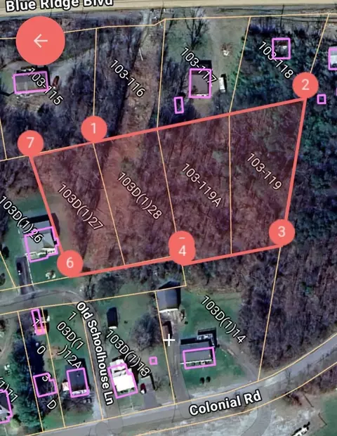 0 Old Schoolhouse Ln, Blue Ridge, VA 24064