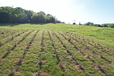 2392 Mountain Valley Rd, Axton, VA 24054 photo 67