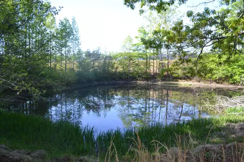 2392 Mountain Valley Rd, Axton, VA 24054 photo 54