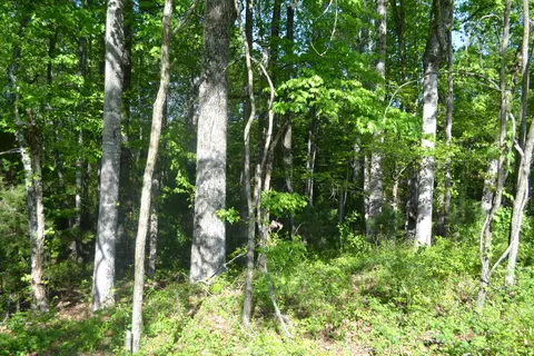 2392 Mountain Valley Rd, Axton, VA 24054 photo 58