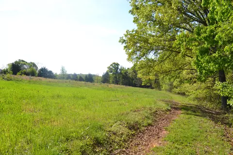 2392 Mountain Valley Rd, Axton, VA 24054 photo 46