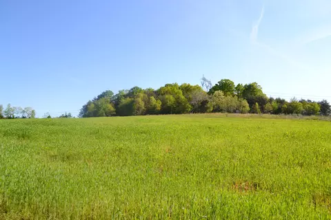 2392 Mountain Valley Rd, Axton, VA 24054 photo 44