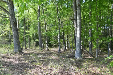 2392 Mountain Valley Rd, Axton, VA 24054 photo 60