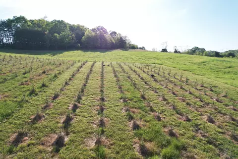 2392 Mountain Valley Rd, Axton, VA 24054 photo 40