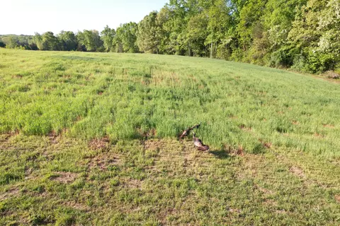 2392 Mountain Valley Rd, Axton, VA 24054 photo 68
