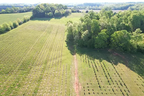 2392 Mountain Valley Rd, Axton, VA 24054 photo 71