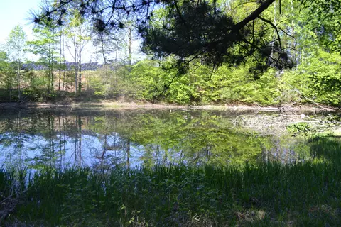 2392 Mountain Valley Rd, Axton, VA 24054 photo 56