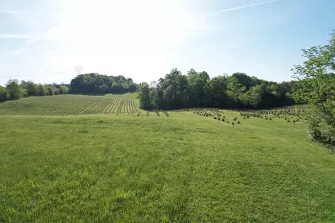 2392 Mountain Valley Rd, Axton, VA 24054 photo 72