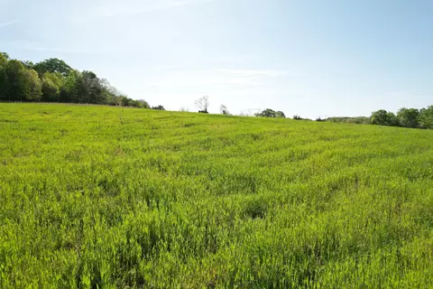2392 Mountain Valley Rd, Axton, VA 24054 photo 49