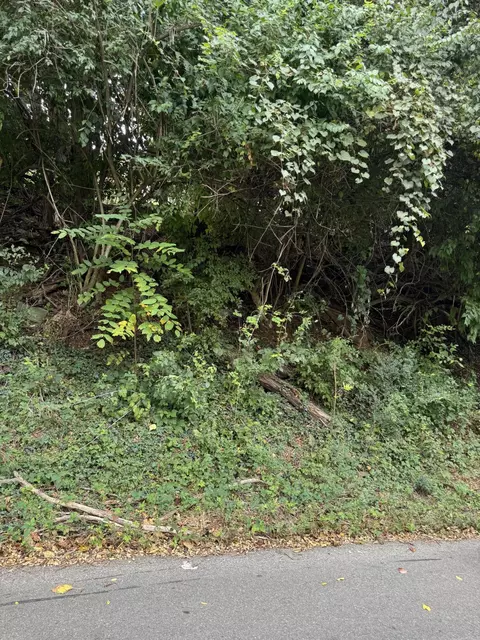 0 Fairland Rd NW, Roanoke, VA 24017