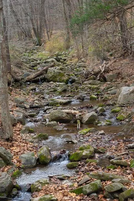 Other - 8122 Rich Patch Rd, Covington, VA 24426 photo 10 of 11