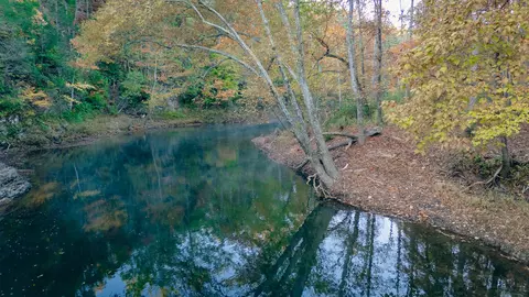 tbd Craigs Creek Rd, Eagle Rock, VA 24085