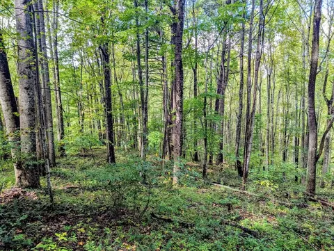 173 Hubbard Rd SW, Willis, VA 24380 photo 31