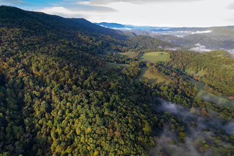0 Robertson Mountain Rd, Narrows, VA 24124