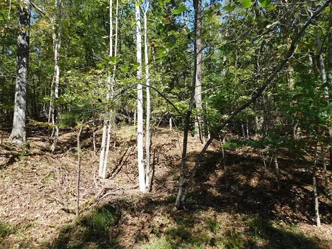 lot24 Cedar Bluff Ln, Hardy, VA 24101