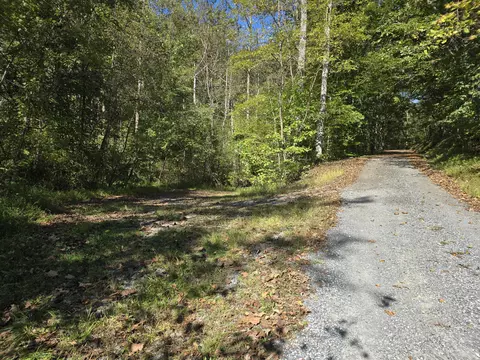 0 Salisbury Rd, Eagle Rock, VA 24085 photo 4