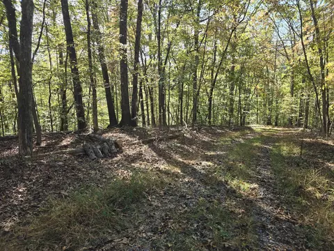 0 Salisbury Rd, Eagle Rock, VA 24085 photo 5