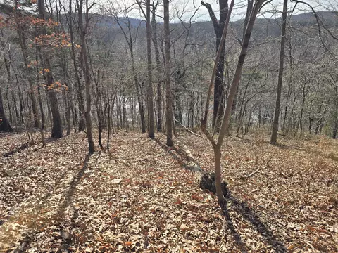 0 Salisbury Rd, Eagle Rock, VA 24085 photo 3