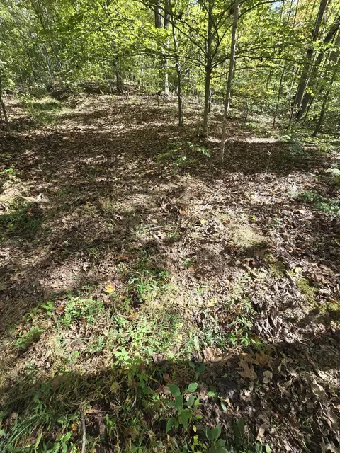 0 Salisbury Rd, Eagle Rock, VA 24085 photo 22