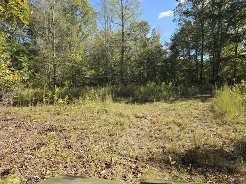 0 Salisbury Rd, Eagle Rock, VA 24085 photo 11