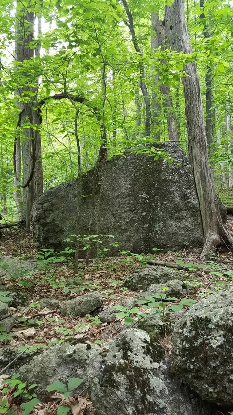 0 Masons Knob Rd, Boones Mill, VA 24065