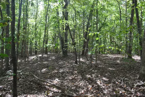 0 Sun Dance Dr, Lynchburg, VA 24504