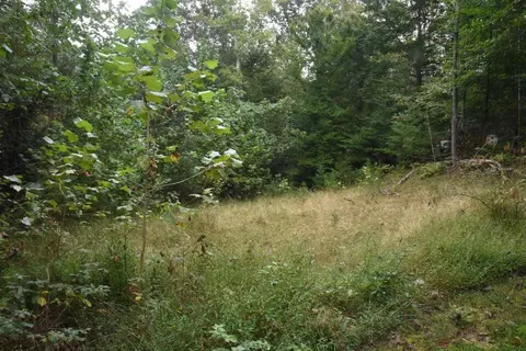 0 Raintree Rd, Roanoke, VA 24018