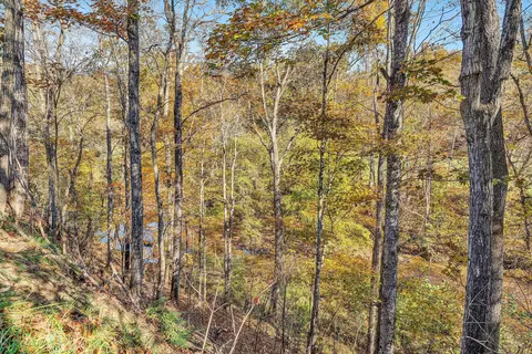 View/Area - 304 Broken Arrow Ln, Covington, VA 24426 photo 4 of 4