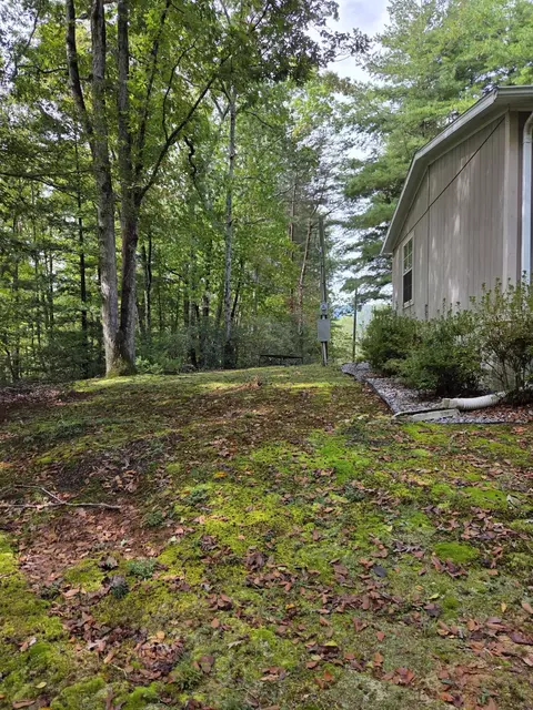 2031 Lone Ivy Rd, Stuart, VA 24171 photo 13