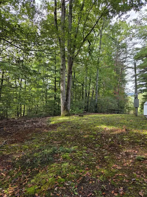 2031 Lone Ivy Rd, Stuart, VA 24171 photo 14
