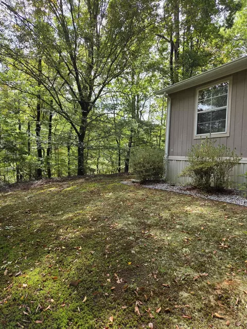 2031 Lone Ivy Rd, Stuart, VA 24171 photo 10